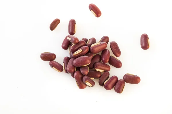 Azuki bean — Stock Photo, Image