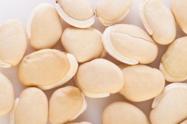 Beyaz böbrek bakla beyaz zemin üzerine izole