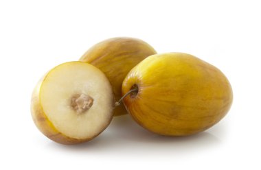 Ziziphus mauritiana (Masau)