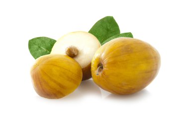 Taze yaprakları ile Ziziphus mauritiana