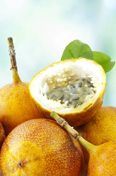 Yellow Passiflora edulis (Passion fruit) — Stock Photo, Image