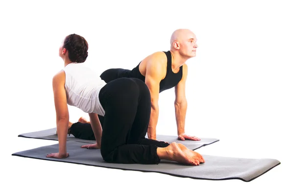 Couple in Marjaryasana yoga pose — Stock Photo, Image