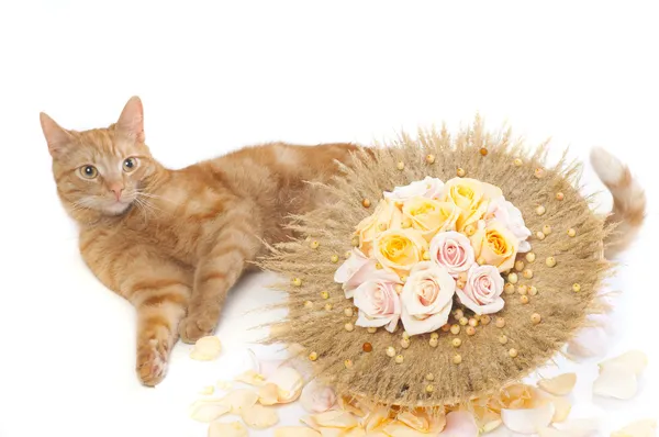 Red Cat with flower bouquet — Stock Photo, Image