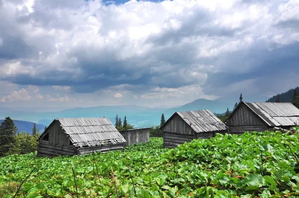 Vesničce v Karpatských horách — Stock fotografie zdarma