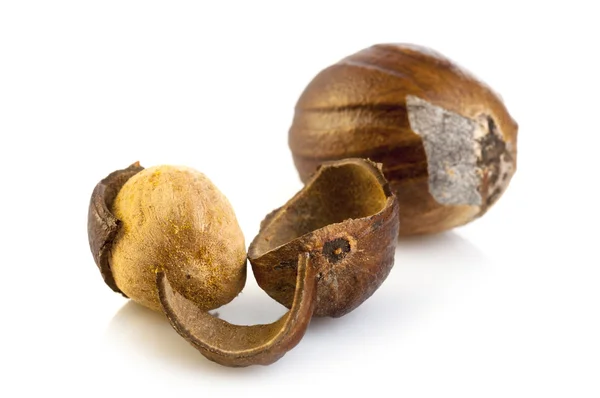 Two Nutmegs — Stock Photo, Image