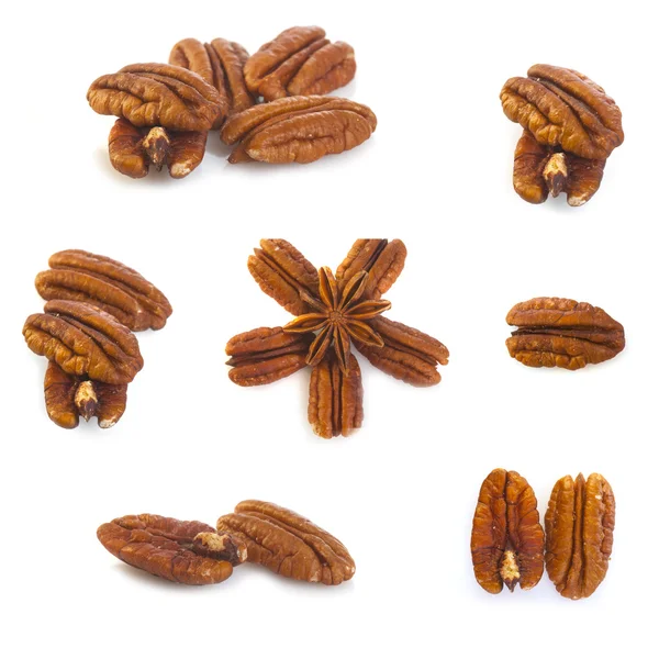 Brown pecan piles — Stok Foto