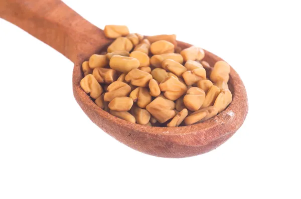 Семена пажитника в деревянной ложке — стоковое фото
