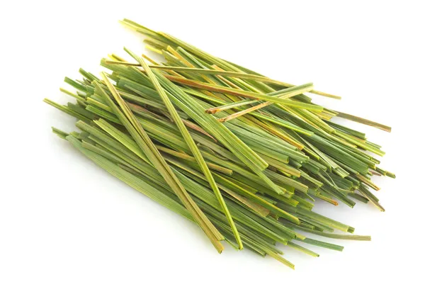 Pacchetto di citronella (Cymbopogon ) — Foto Stock