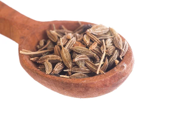 Fennel seed in wooden spoon — Stock Photo, Image