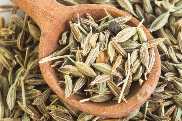 Fennel seeds — Stock Photo, Image