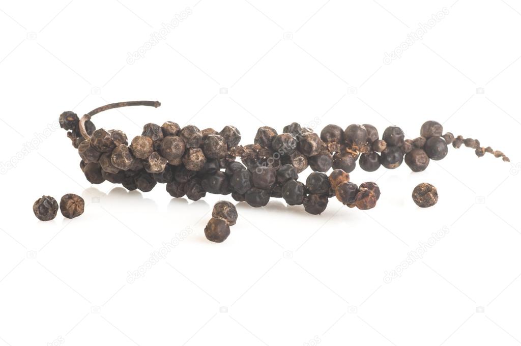 Two Branches of Black Pepper