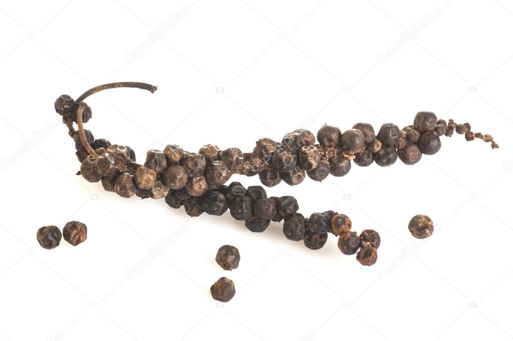 Two Branches of Indian Black Pepper