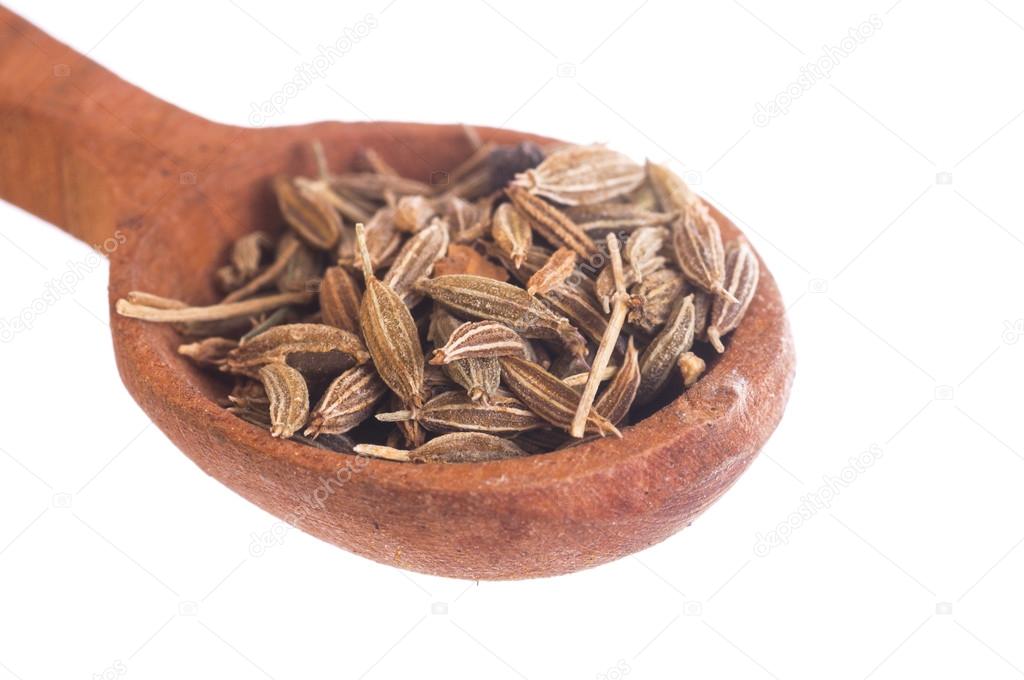 Fennel seed in wooden spoon