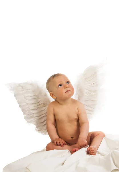 Adorable niña ángel — Foto de Stock