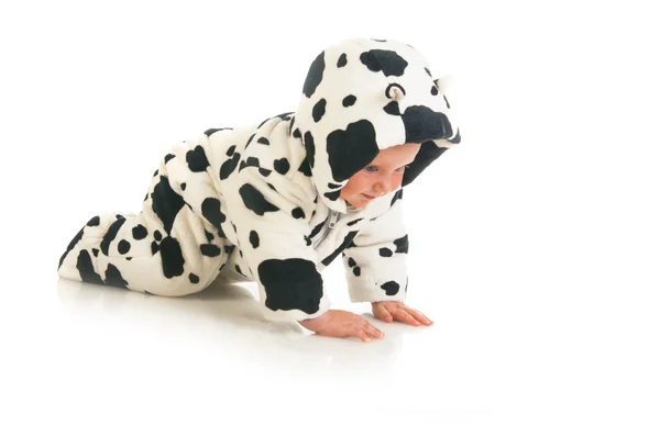 Crawling baby girl in cow costume — Stock Photo, Image