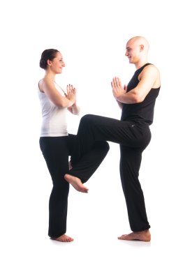 Çift shiva nataraja poz