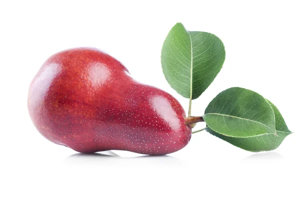 Red pear with green leaves — Stock Photo, Image