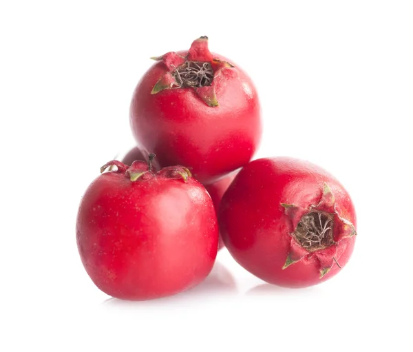 Medicina herbal: Bayas de Crataegus — Foto de Stock