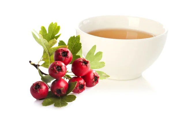 Herbal medicine: Crataegus tea and crataegus berries — Stock Photo, Image