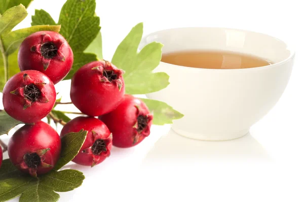 Herbal medicine: Hawthorn tea. — Stock Photo, Image