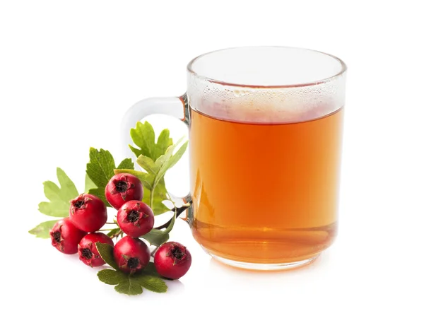 Gyógynövény: crataegus tea. — Stock Fotó