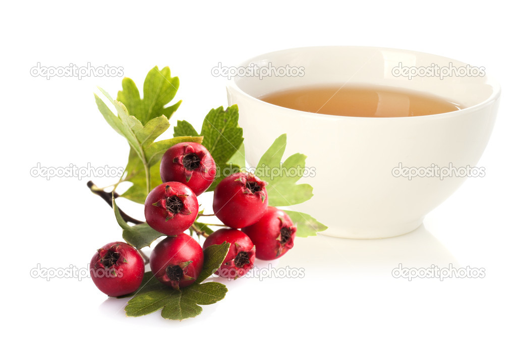 Herbal medicine: Crataegus tea and crataegus berries