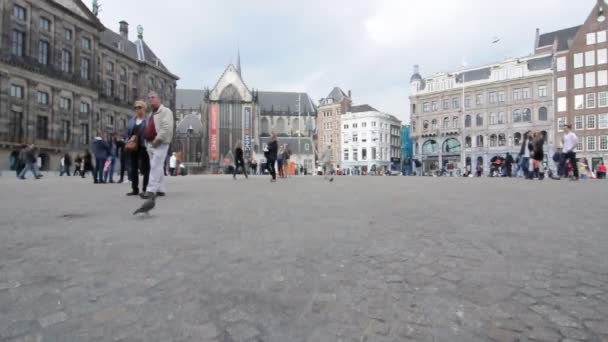 The Royal Palace in Dam Square, Amsterdam, Netherlands — Stock Video