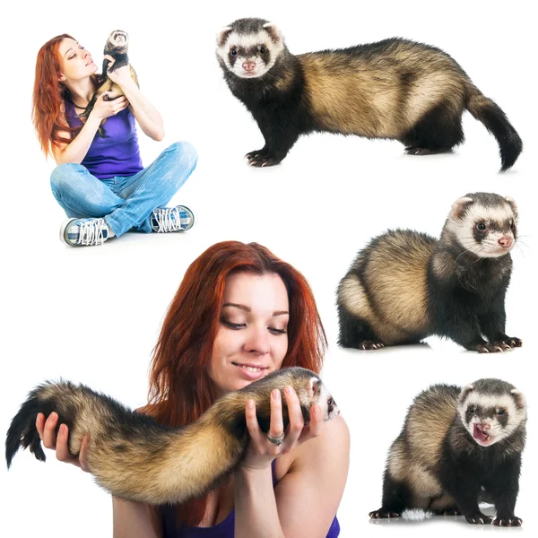 Vrouw met ferret — Stockfoto