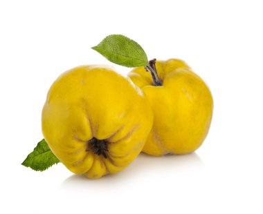 iki ayvaları