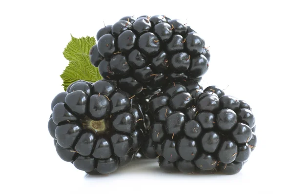 Fresh blackberry with leaf — Stock Photo, Image