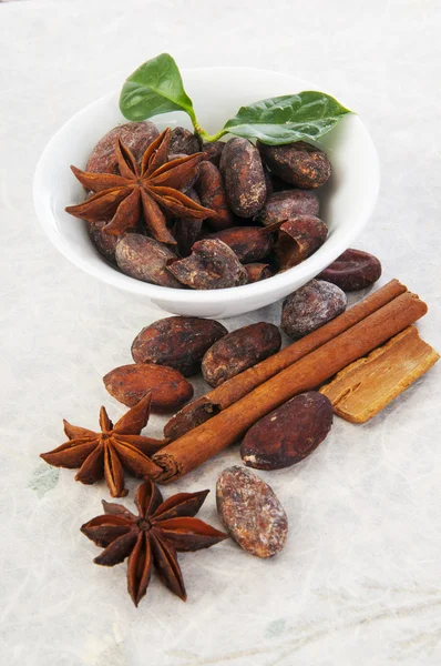 Cinnamon, anise stars and cocoa beans — Stock Photo, Image