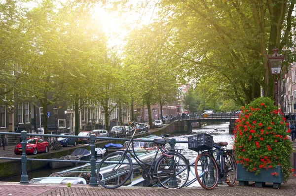 Cyklar i amsterdam — Stockfoto