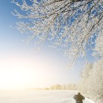 Людина катається на лижах через зимове поле