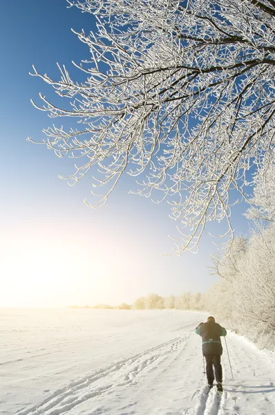 Человек катается на лыжах по зимнему полю — Бесплатное стоковое фото