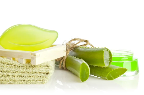 Cosmética Aloe vera — Foto de Stock