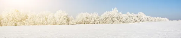 Winterpanorama — kostenloses Stockfoto