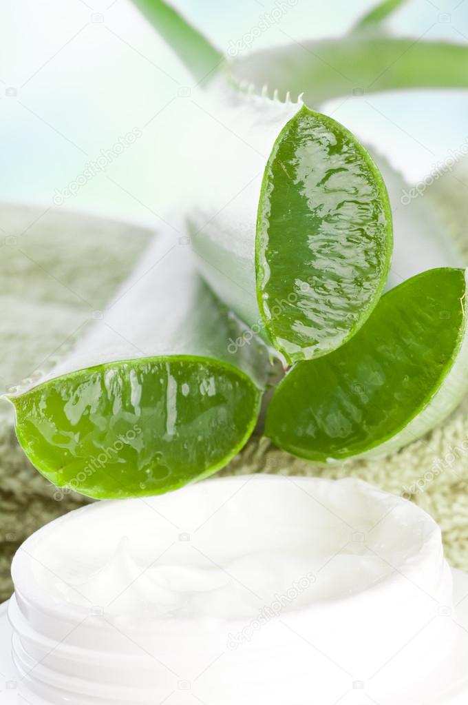 Cosmetic cream and aloe vera plant