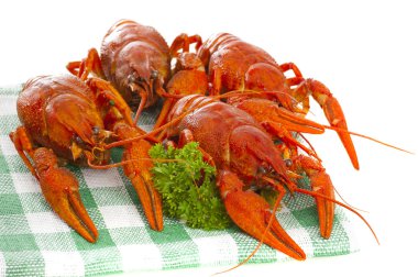 Damalı peçete üzerine maydanoz ile haşlanmış kerevit