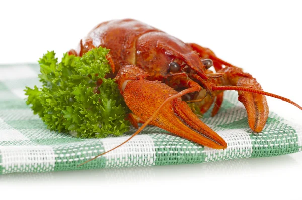 One boiled crawfish with parsley on the checkered serviette — Stock Photo, Image