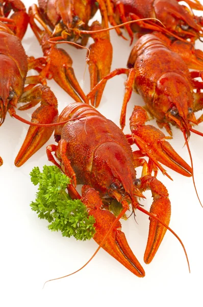 Crawfish fervido com salsa — Fotografia de Stock