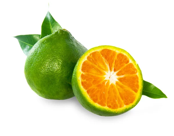 Zöld édes mandarin — Stock Fotó