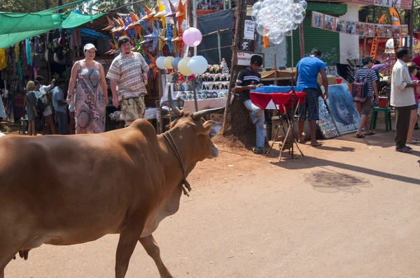 野良牛市場の上を歩く — ストック写真