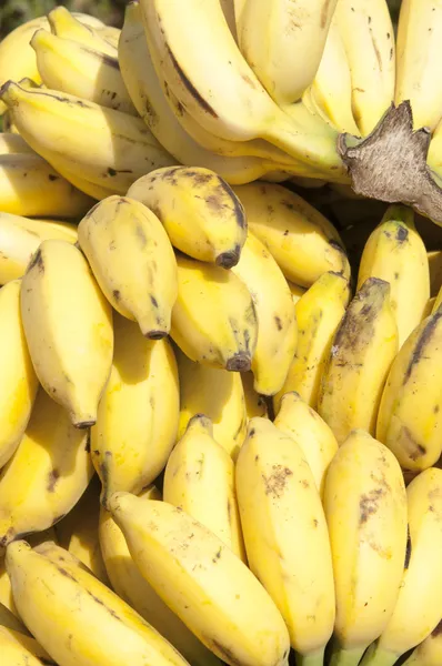 Baby-Bananen — kostenloses Stockfoto