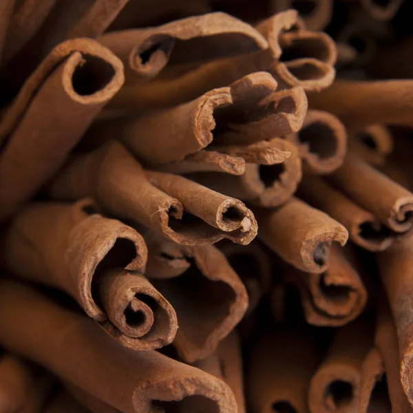 Cinnamon stick close-up — Foto Stok Gratis