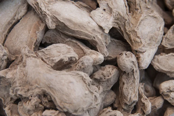 Dried ginger root — Stock Photo, Image