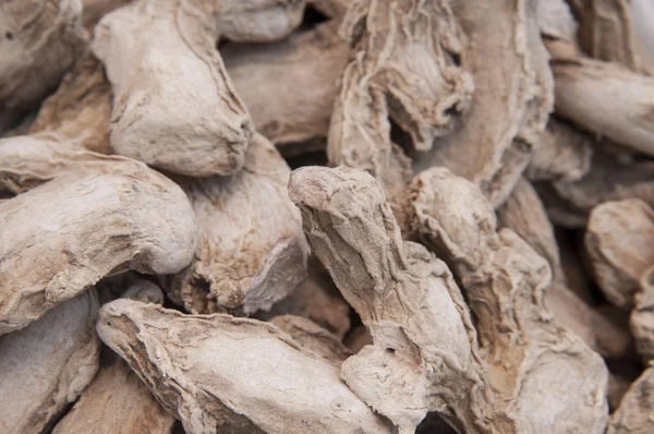 Dried ginger root — Stock Photo, Image