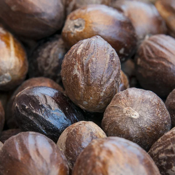 Nutmeg background — Free Stock Photo