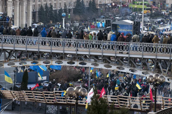 El pueblo ucraniano exige la renuncia del gobierno y la votación anticipada — Foto de Stock