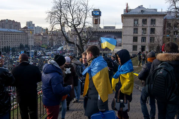 Український народ вимагають відставки уряду і дострокового голосування — стокове фото