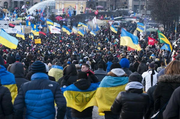 정부 및 조기 투표의 사직을 요구 하는 우크라이나 사람들 — 스톡 사진